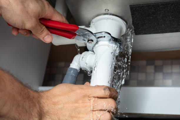 Best Water damage cleanup near me  in Pittsfield, MA
