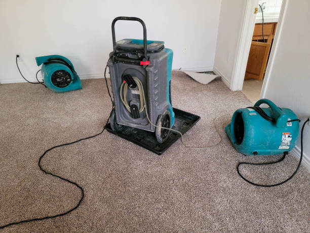 Best Carpet water damage restoration  in Pittsfield, MA
