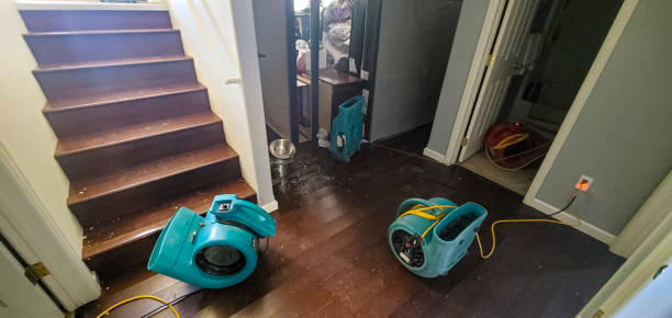Best Water damage contractors near me  in Pittsfield, MA