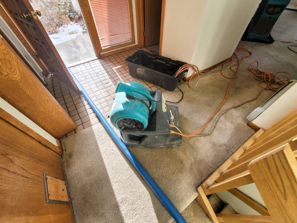 Best Water damage restoration near me  in Pittsfield, MA