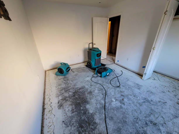Best Flooded house restoration  in Pittsfield, MA