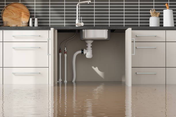  Pittsfield, MA Water damage restoration Pros
