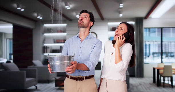 Best Water damage restoration near me  in Pittsfield, MA